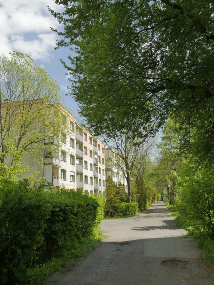 Jakie rośliny najlepiej rosną w ogrodach w Biłgoraju?
